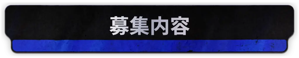 募集内容